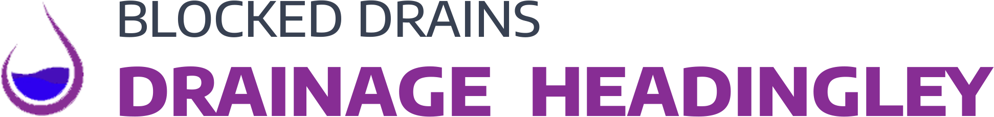 website logo